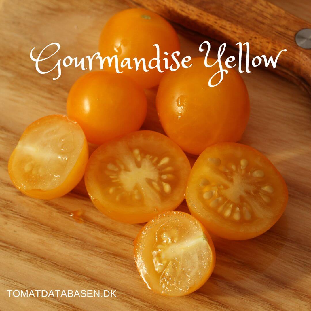 Gourmandise Yellow